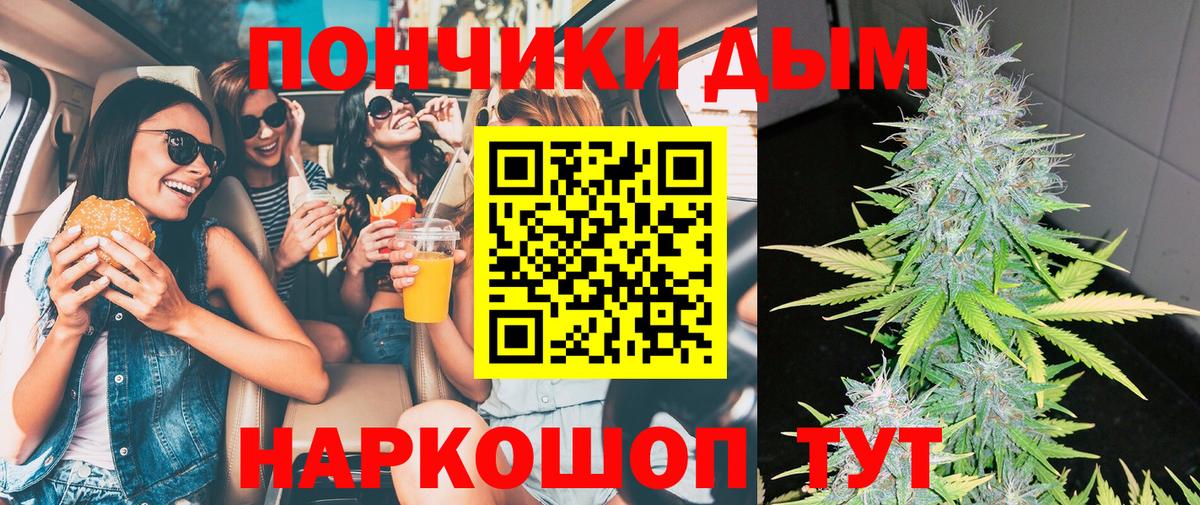 Бошки марихуана планчик  Марихуана план  Вход с VPN  Нерюнгри  Конопля план 